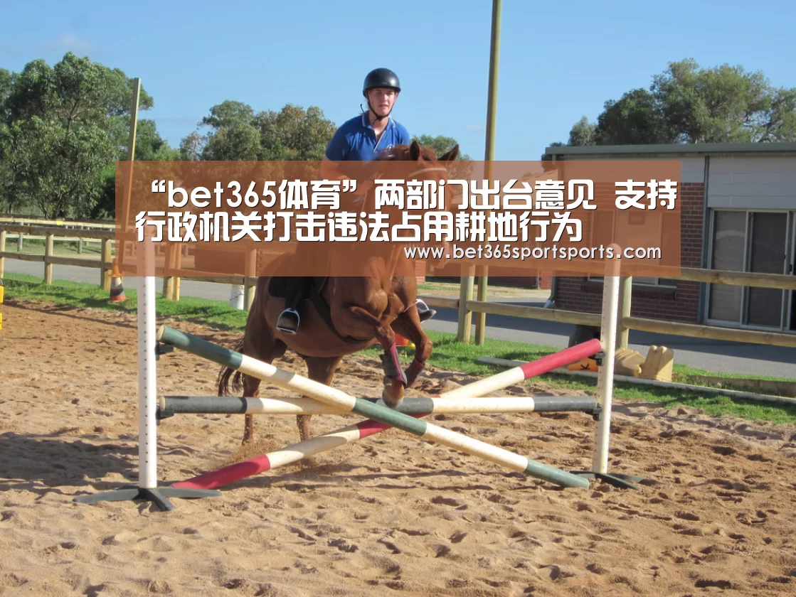 “bet365体育”两部门出台意见 支持行政机关打击违法占用耕地行为(图3) bet365体育
